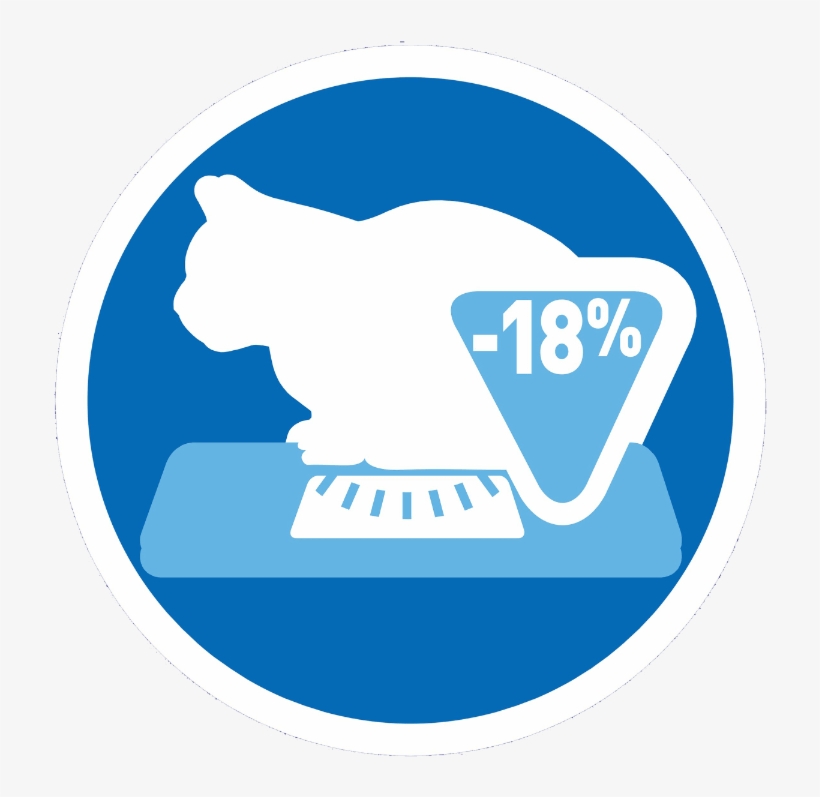 Icon-1 - Cat, transparent png