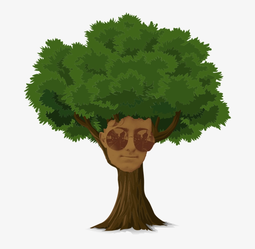 Image - Png Tree Illustration, transparent png