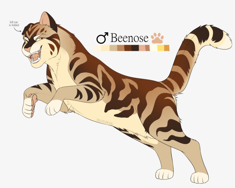 Details - Domestic Short-haired Cat, transparent png