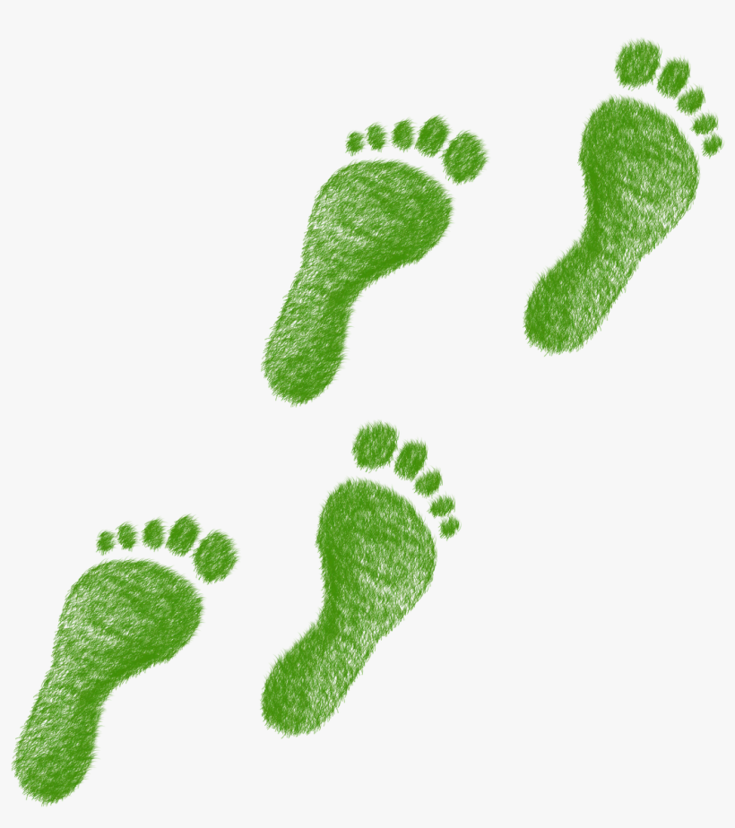 Environmental Footprint - Ecological Footprint, transparent png