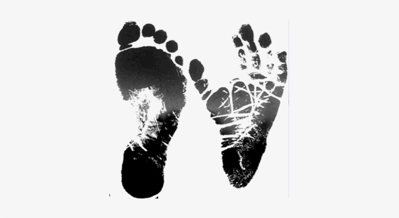 Chimpanzee Footprint Vs Human - 369x368 PNG Download - PNGkit