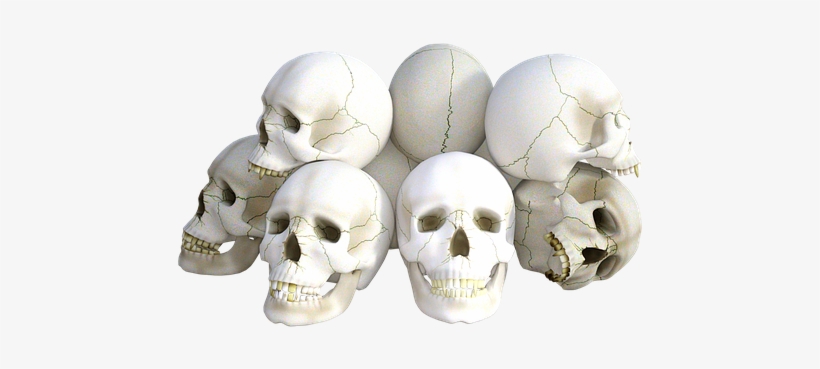 Skulls Png - Skulls By Express Yourself Journals 9781539042488 (paperback), transparent png