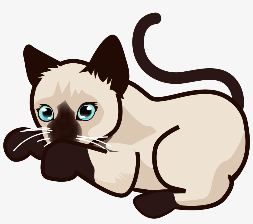 File Peo Siamese Kitten Svg Wikimedia Commons - Cats Transparent Siamese, transparent png