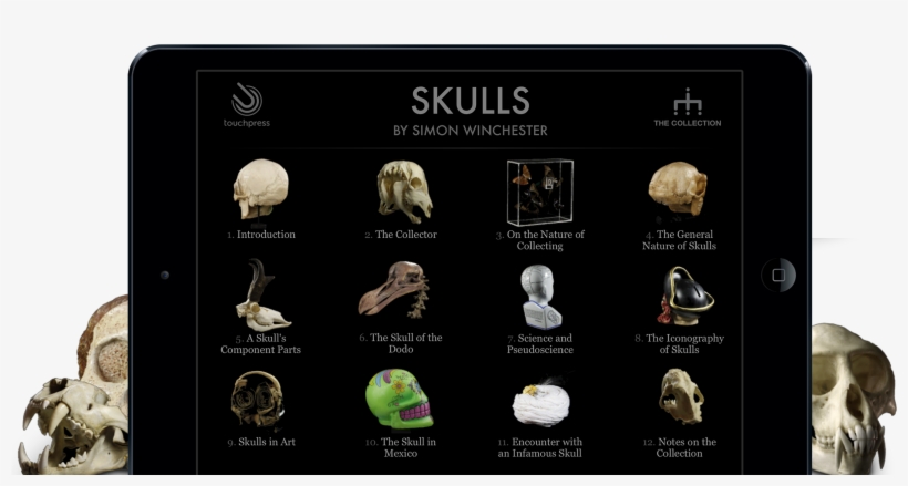 Skulls By Simon Winchester » A Stunning, Interactive - Skulls - An Exploration Of Alan Dudley's Curious Collection(pevná, transparent png