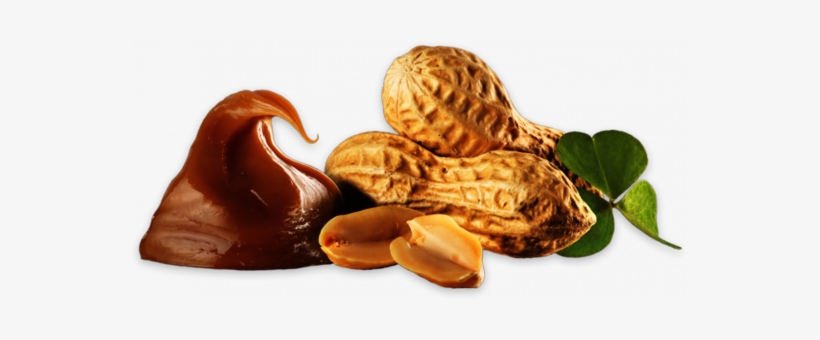 Almondy Cake With Caramel And Peanut, transparent png