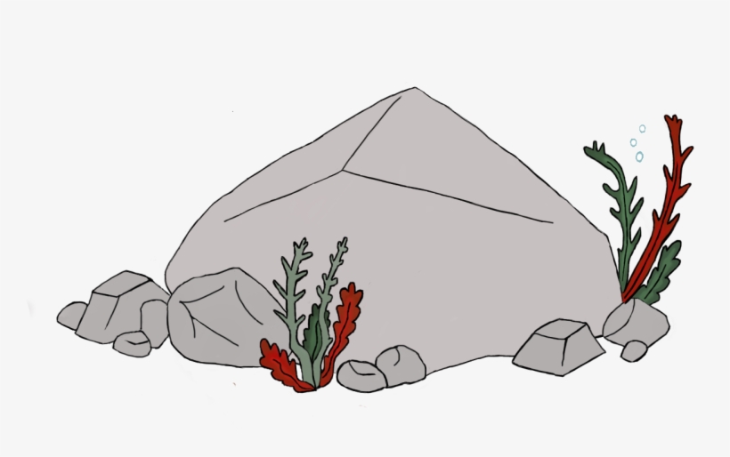 Rock - Illustration, transparent png