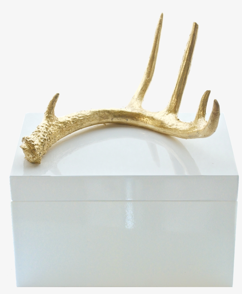 Lacquered Box With Antler - Reindeer, transparent png