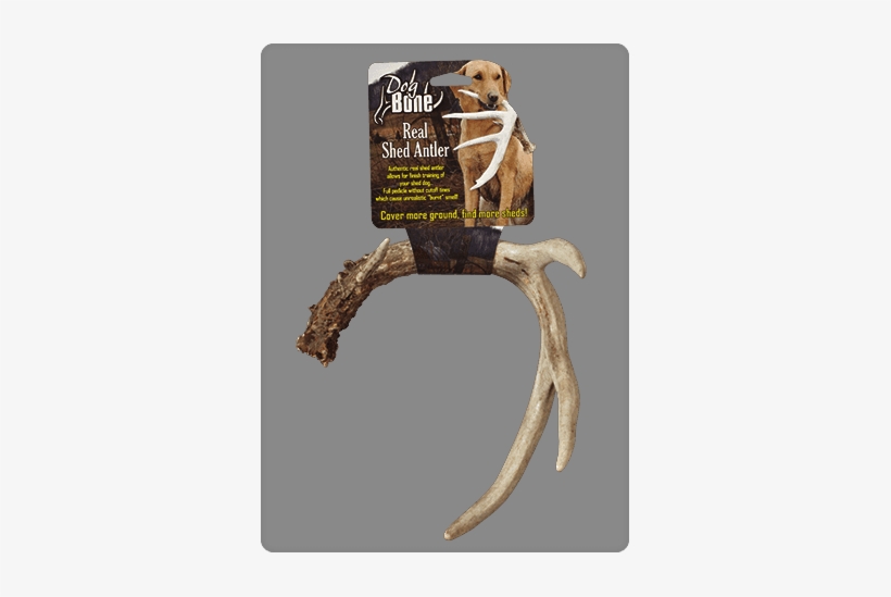 Dog Bone Shed Dummy Retrieving Antler, transparent png