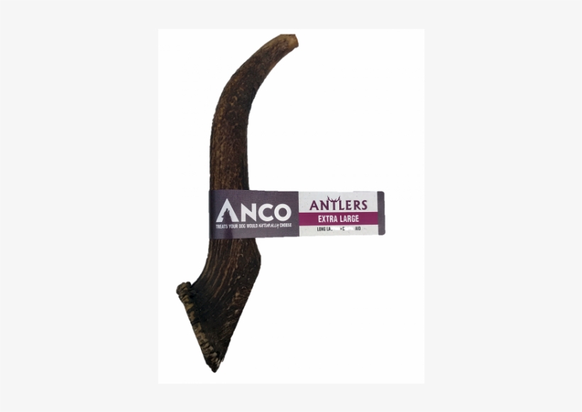 Antler, transparent png