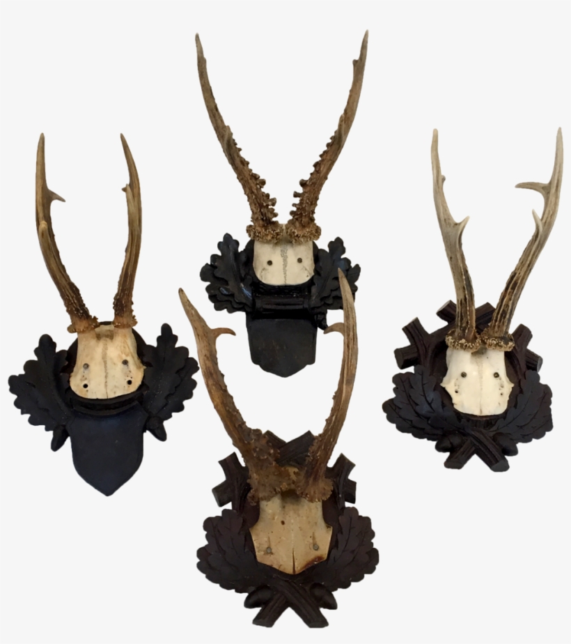 Antler Mounts, transparent png