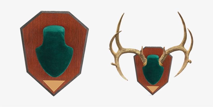 Allen Company Antler Mounting Kit - Allen Company Skull Cover Antler Mounting Kit, transparent png