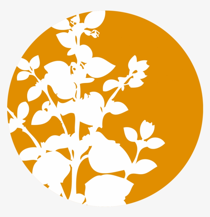 Lavender Essential Oil - Essential Oil, transparent png