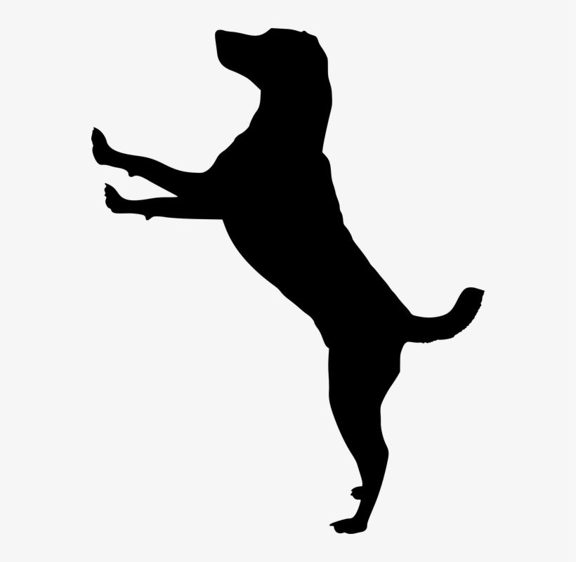 Silhouette, Dog, Doggy, Animal, Dog House, Pet, Run - Dog Jumping Silhouette, transparent png
