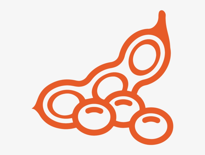 Sharkfarmer Icons Soybeans Orange - Canada Common Food Allergens, transparent png