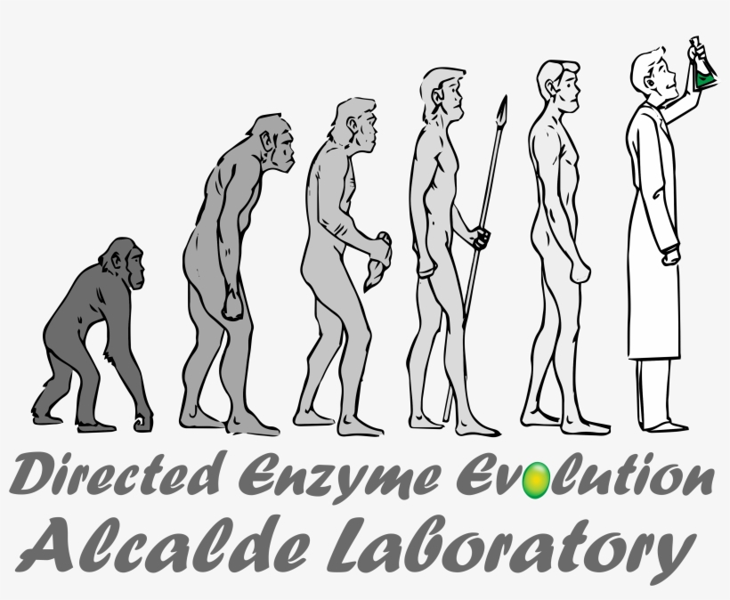 Miguel Alcalde Laboratory - Laboratory, transparent png