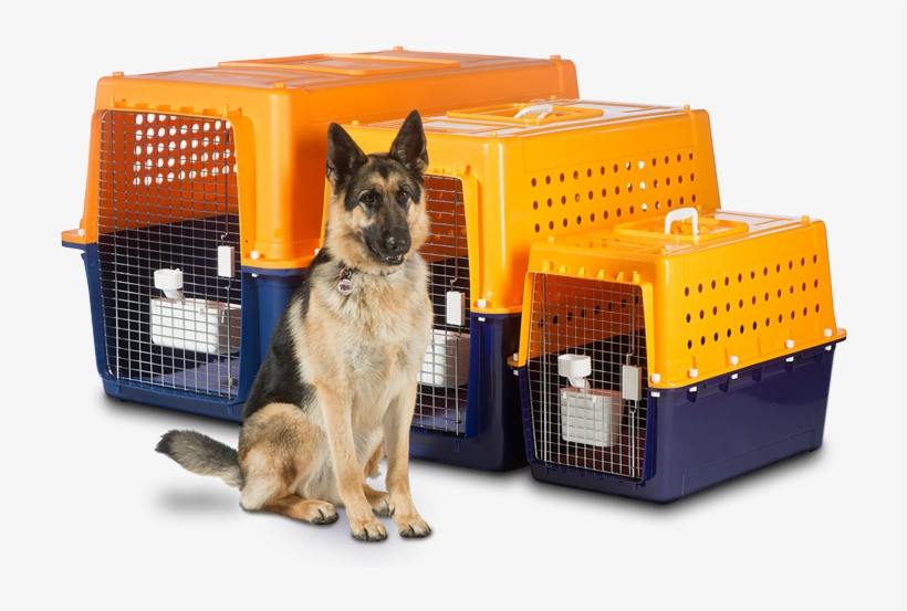 Our Airline Approved Travel Crates Are Made For Your - Jet Pets Dog Crates, transparent png