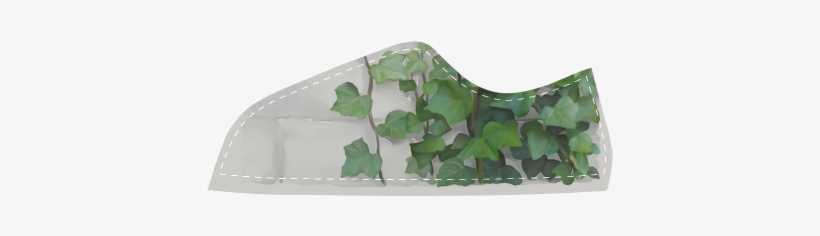 Watercolor Vines, Climbing Plant Women's Canvas Shoes - Creeper Plants And Paintings, transparent png