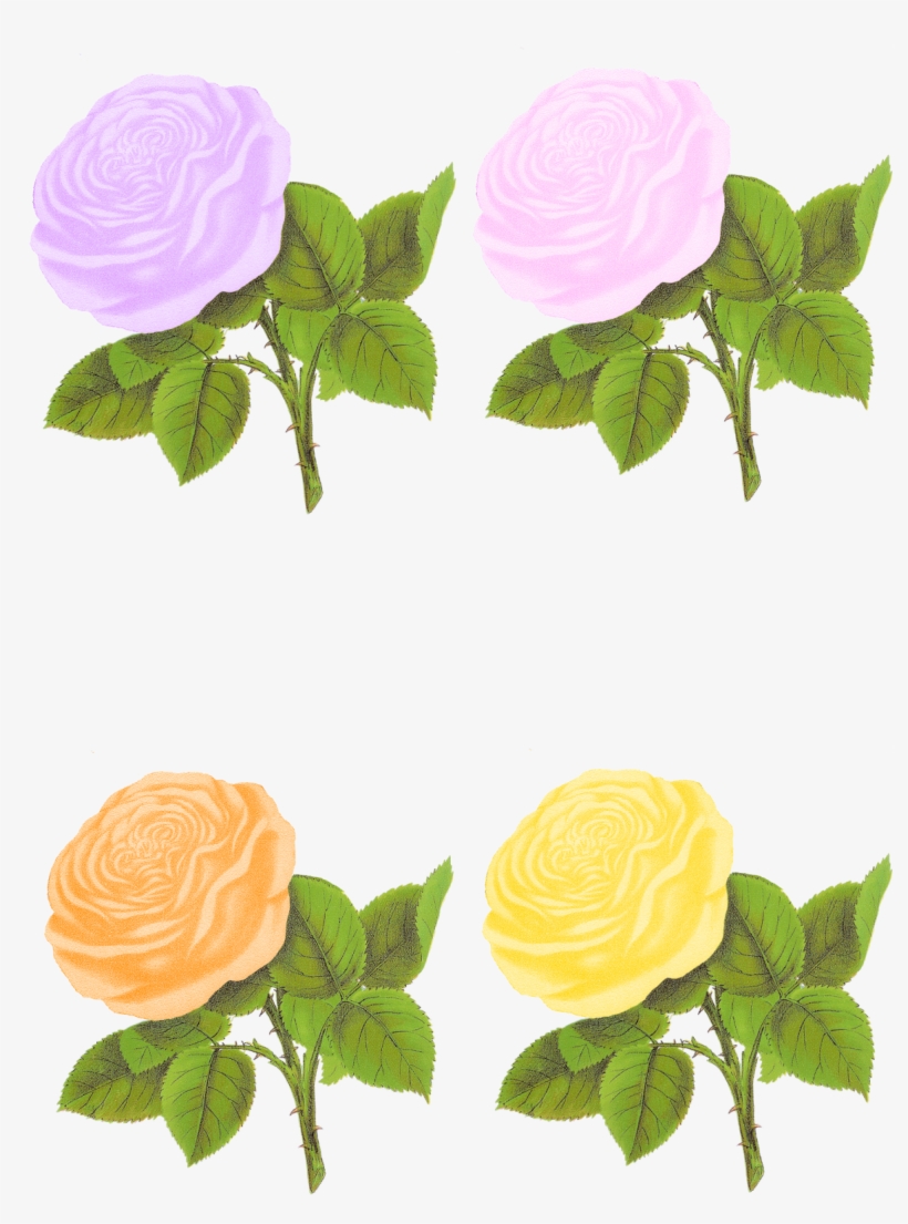 Paper Crafting Rose Digital Collage Sheet Flower Clip - Rose Flower Png Pastel, transparent png