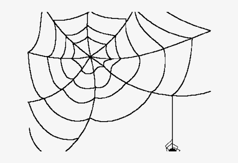 Drawn Spider Web Transparent Background - Spider Web Transparent, transparent png