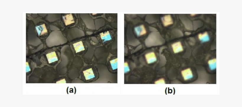 Optical Image Of The Cobweb Tenax Ta, And (b) Are - Smartphone, transparent png