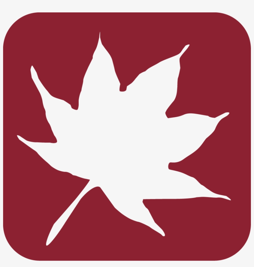 Been The Japanese Maple On The Corner Of 16th And State - Hansen-spear Funeral Home, transparent png