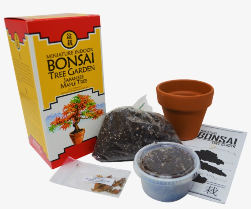 Bonsai Tree Garden Diy Grow Kit With Japanese Maple - Bonsai, transparent png