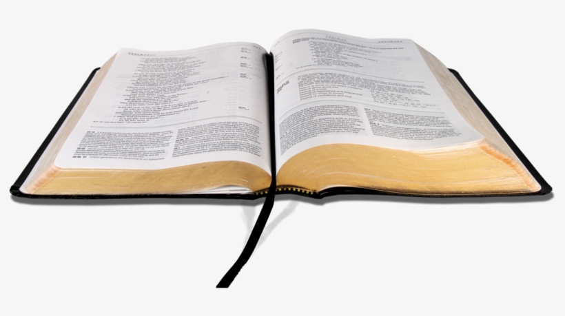 You're In God's Plan: And Designed, transparent png