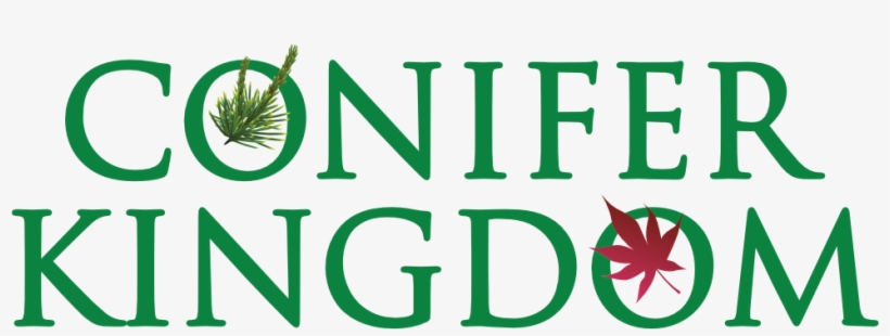 Search - Writer Sticker, transparent png