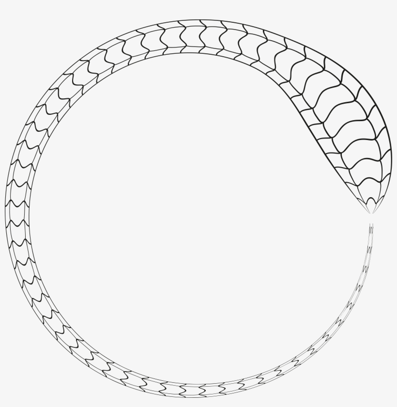 Free Clipart Of A Black And White Snake Forming A Round - Snake Circle Clip Art, transparent png