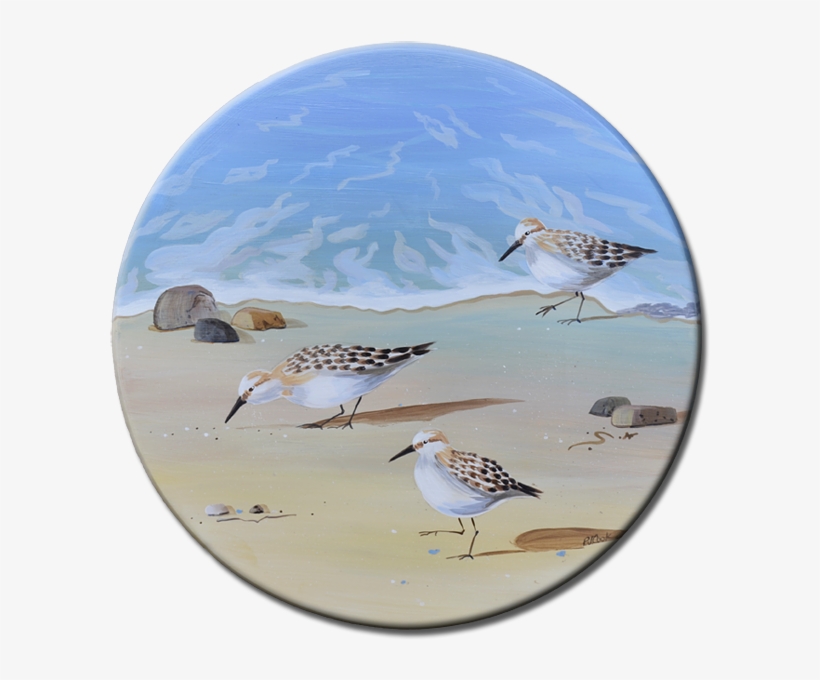 Sandpiper Birds Running On The Beach - Sand Piper Birds On The Beach, transparent png