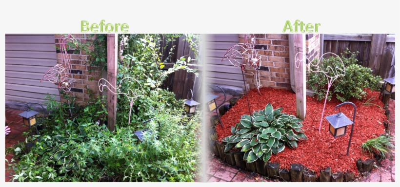 Flower Bed Maintenance - Flower Bed Before And After Mulch, transparent png