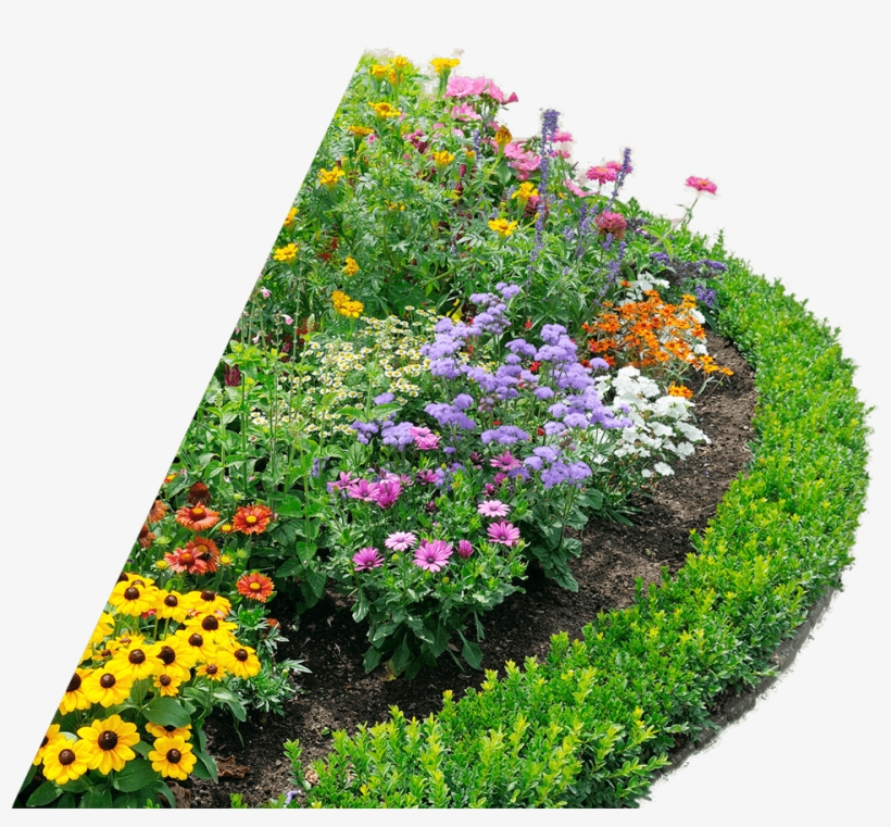 Beautiful Flower Bed - Ornamental Plants, transparent png