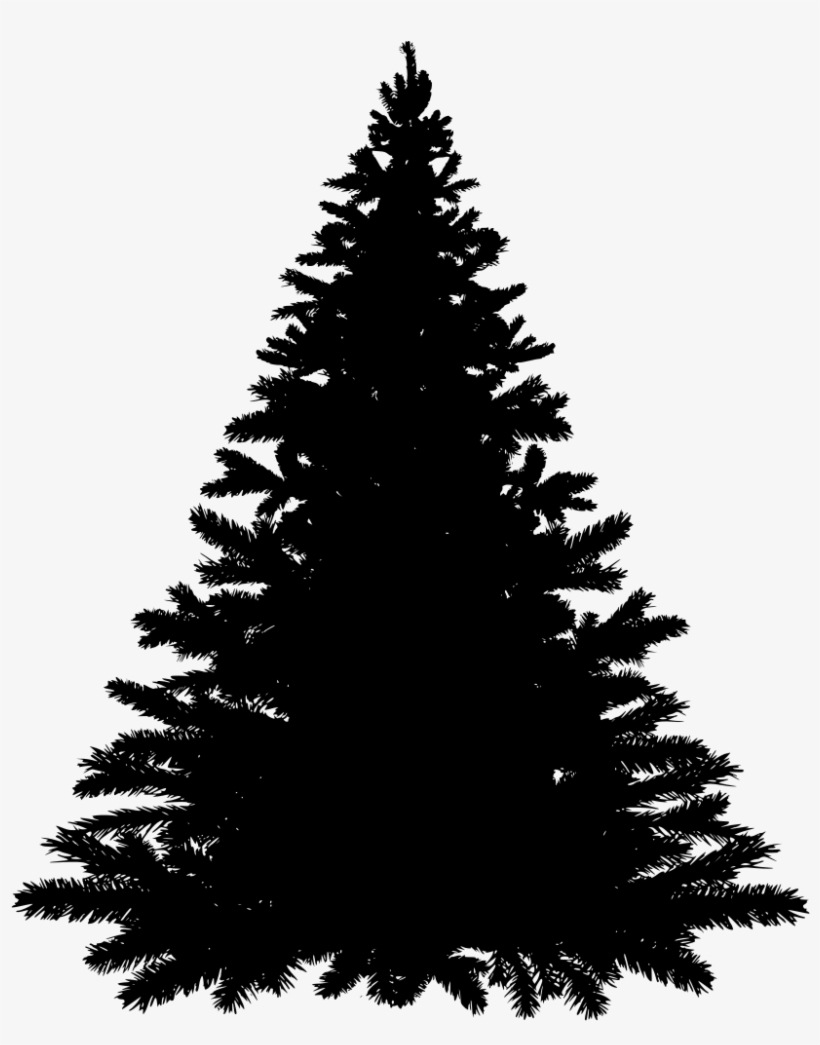 Download Png - Balsam Fir Tree Silhouette, transparent png