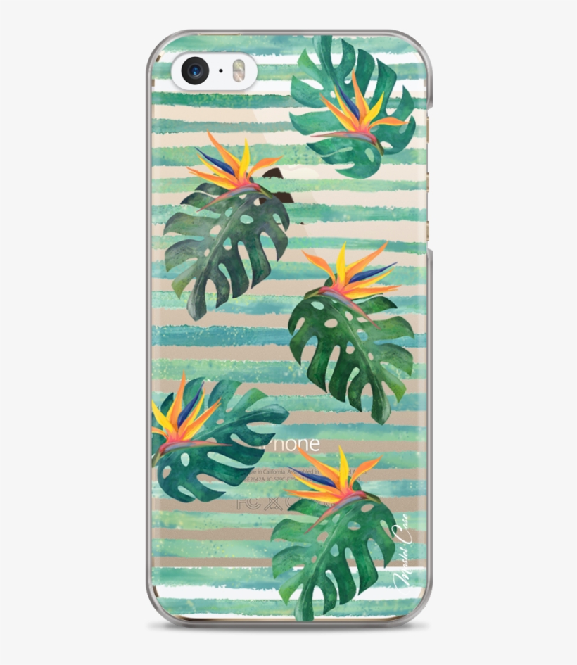 Coque Iphone 5c Tropical Watercolor Design Striped - Mobile Phone Case, transparent png