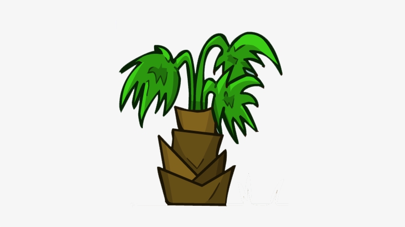 Tropical Tree Medium - Illustration, transparent png