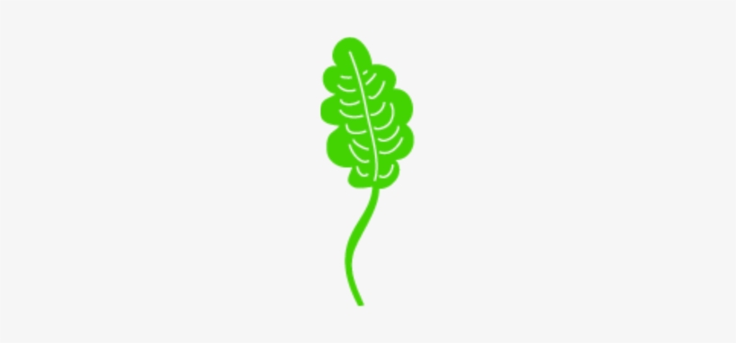 Leaf Icon Png Vectors And Clipart For - Vector Graphics, transparent png