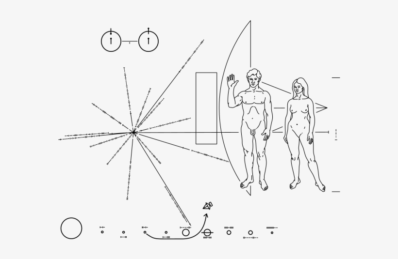303 × 240 Pixels - Pioneer Plaque Png, transparent png