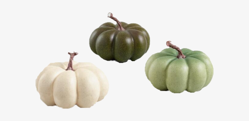 Medium Ivory And Green Faux Heiloom Pumpkins Set Of, transparent png