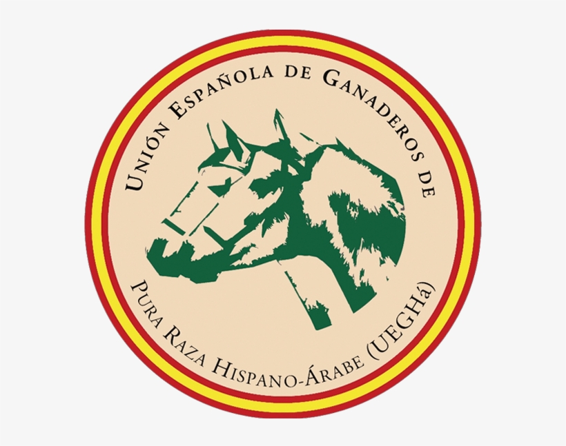 Caballo Hispano Árabe - All Saints High School Logo, transparent png