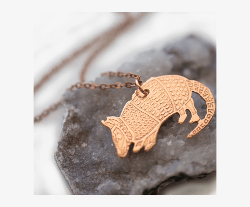 Armadillo Copper Necklace - Pendant, transparent png