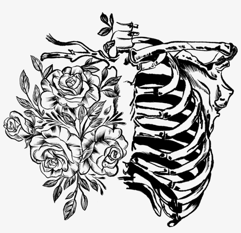 We Always Start With - Illustration, transparent png