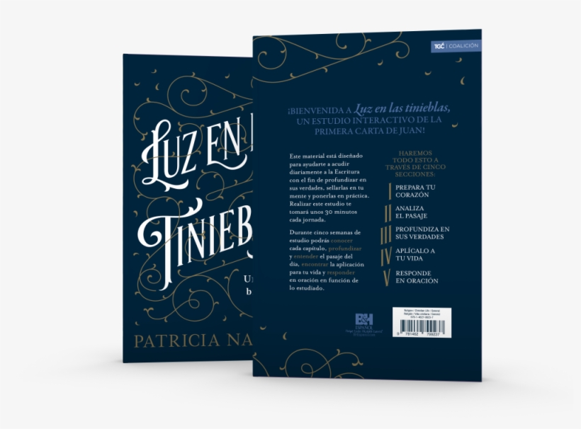 Light In The Darkness - Brochure, transparent png