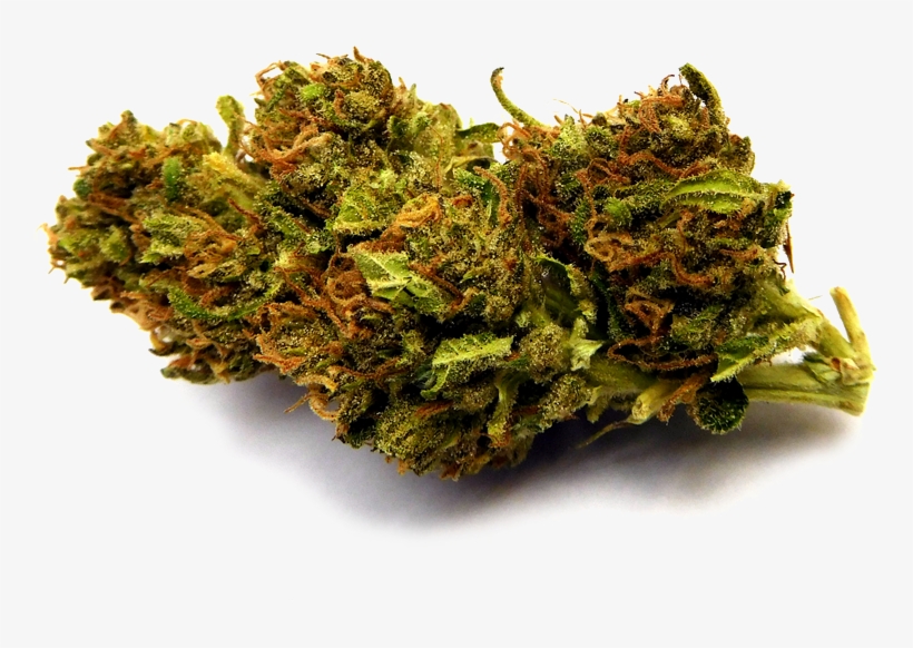 Blueberry#2 Nobg-stickybydz - Non-vascular Land Plant, transparent png