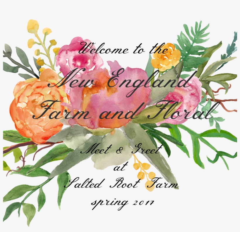 Flower By - Rosa Glauca, transparent png