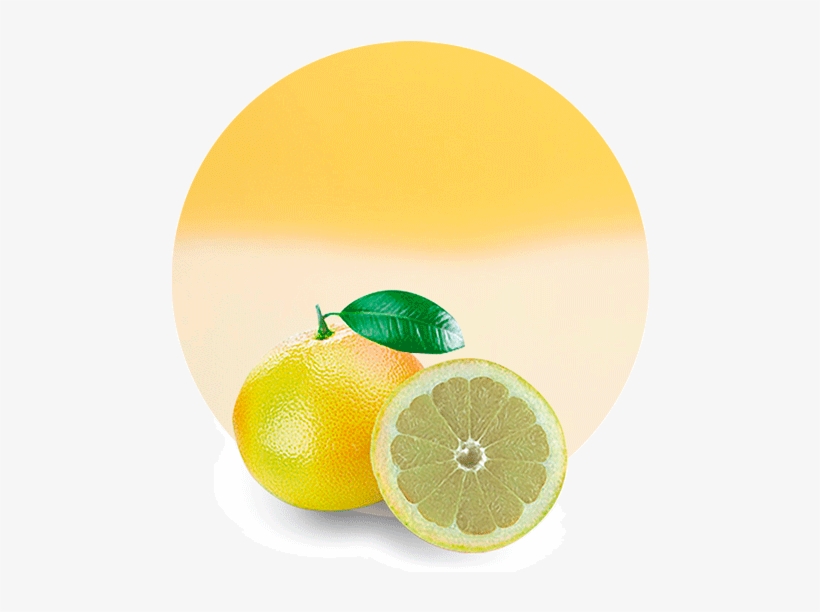 Com/wp Grapefruit Juice Concentrate 1 - Rangpur, transparent png
