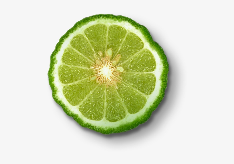 Bergamot - Bergamot Png, transparent png