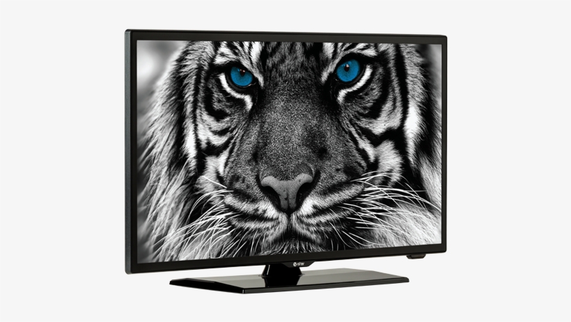 Estar Led Tv - E Star Tv, transparent png