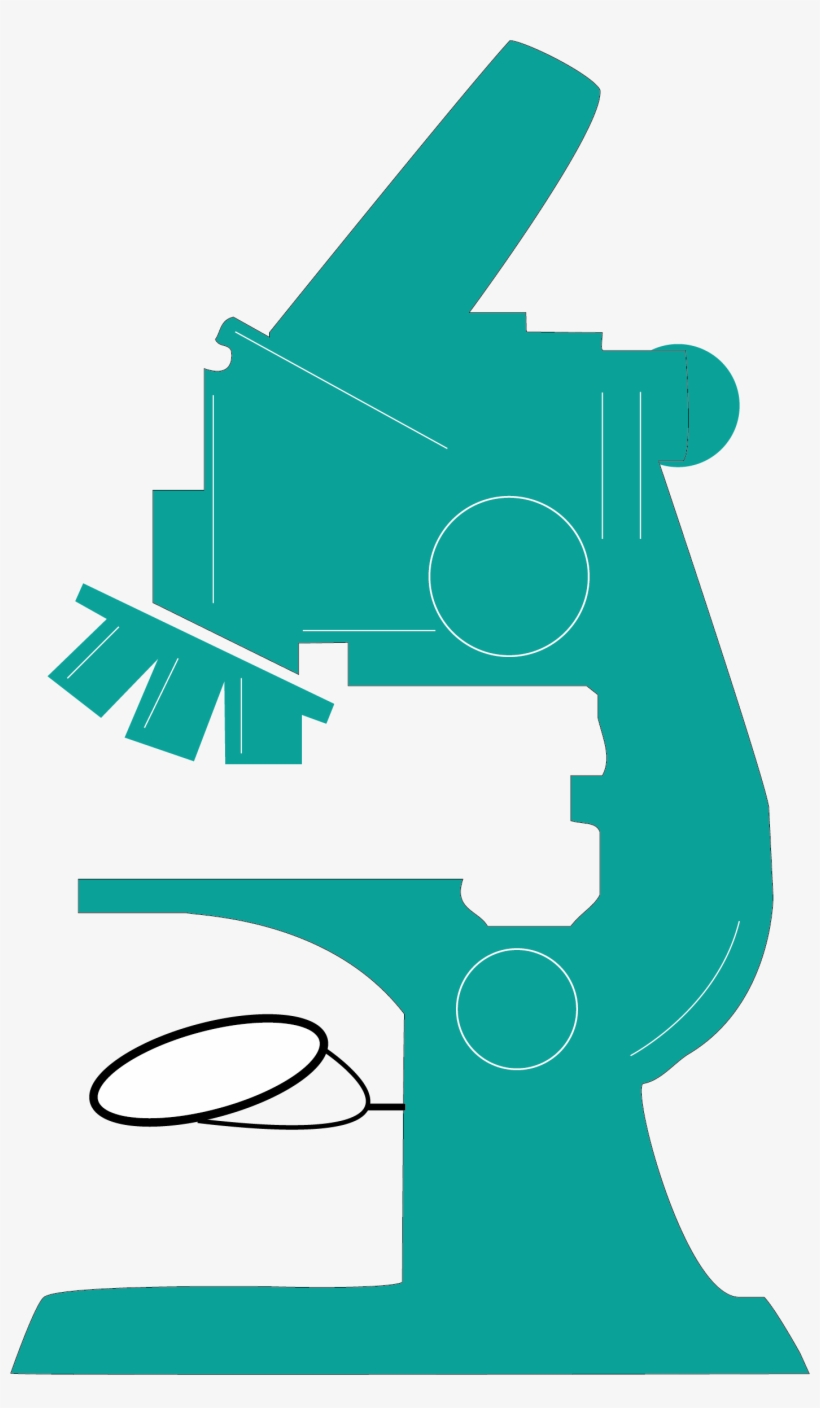 Clipart Transparent Library Clip Art Green Transprent, transparent png