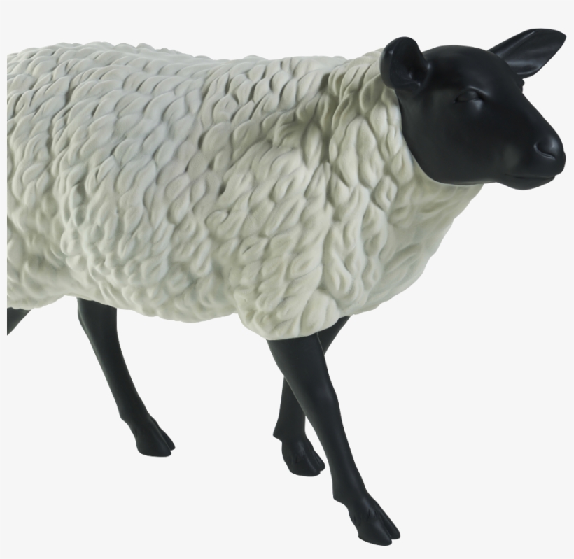 The Sheep - Sheep, transparent png