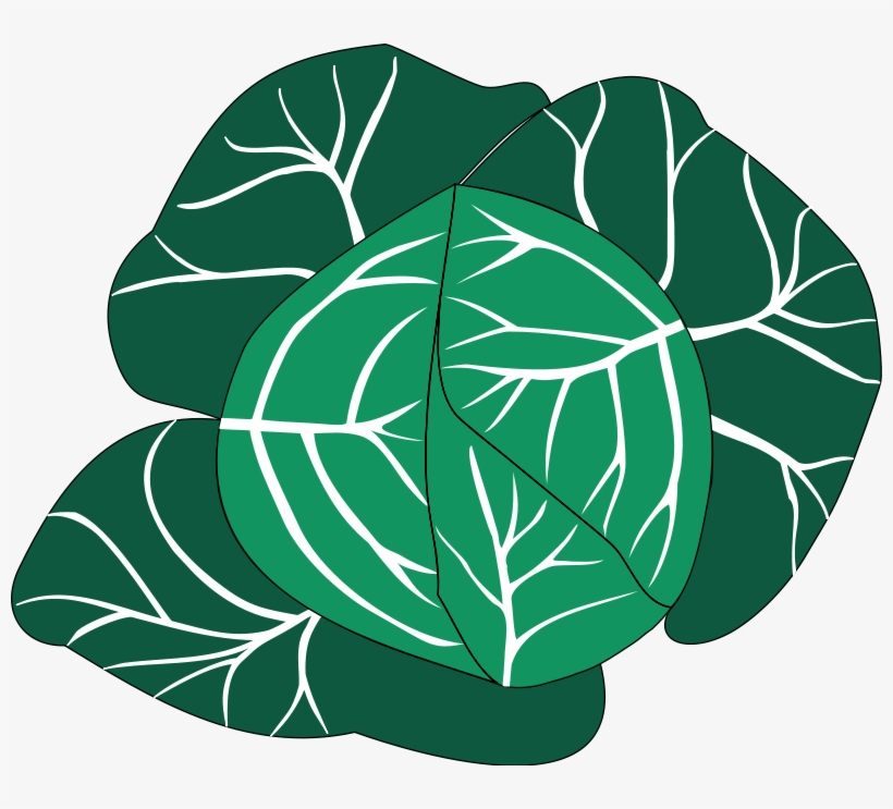 Vegetables 24 Free Vector - Cabbage Png Clipart, transparent png